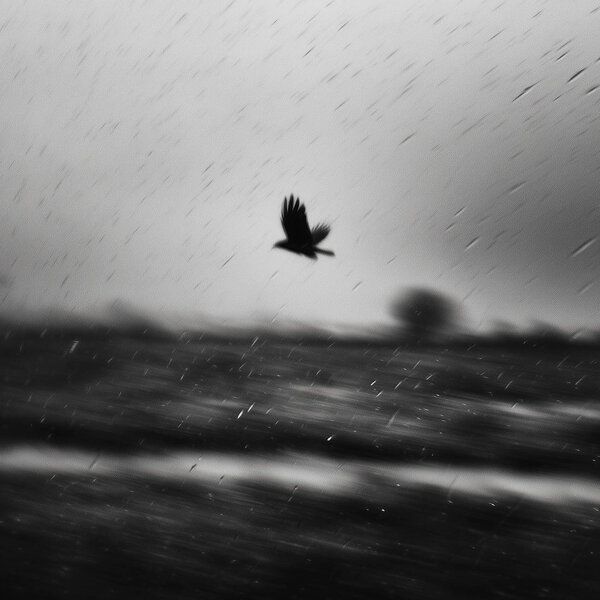 Я свободен (хор русского рока)