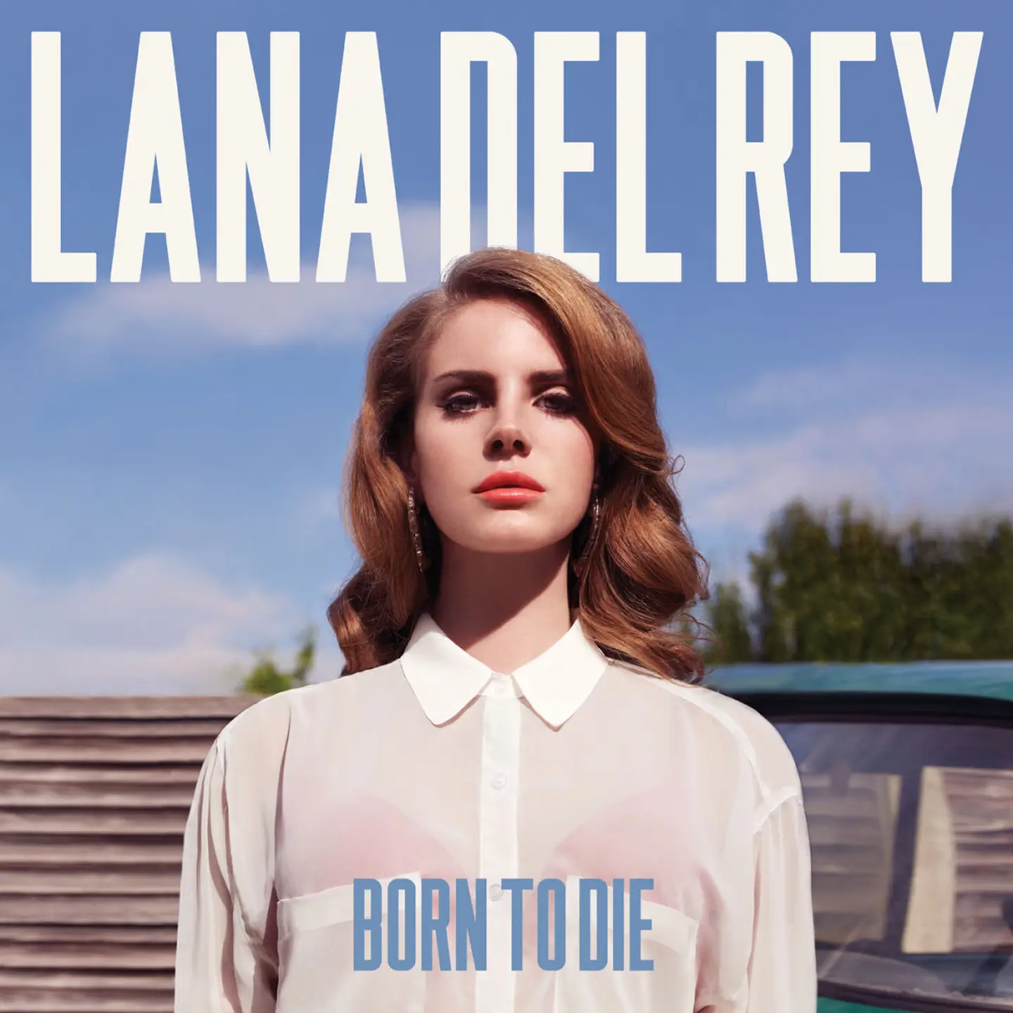 Песня Ланы Дель Рей «Summertime Sadness» вернулась в чарты