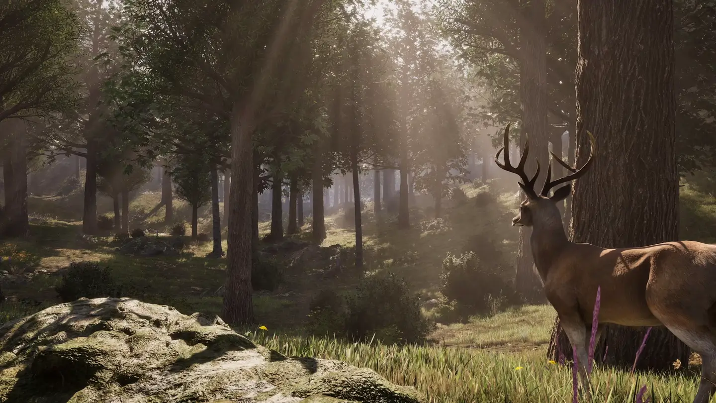 Bethesda выпустила ремастер The Elder Scrolls 4: Oblivion