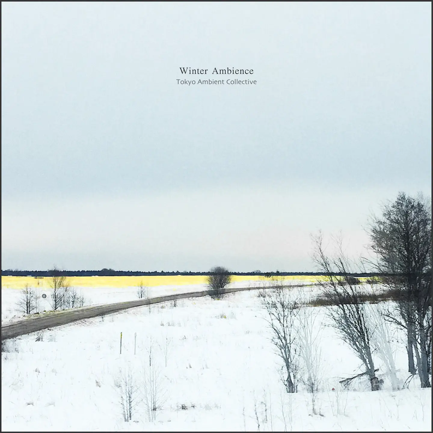 Tokyo Ambient Collective с Такахиро Кидо и Юки Муратой выпустили новый альбом — Winter Ambience