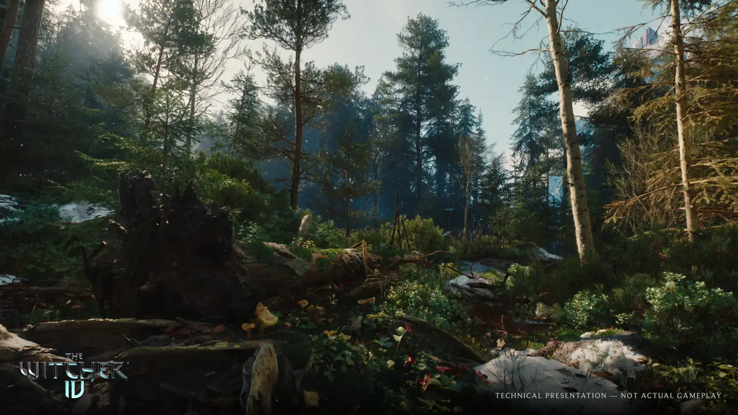 The Witcher 4: Где будет происходить действие нового «Ведьмака»